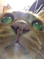https://images.plurk.com/6mwlIxFBKiqoJkqHeNUAyJ.jpg