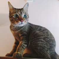 https://images.plurk.com/6my1v8Yd5lDONNSxMWspHk.jpg