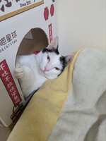 https://images.plurk.com/6nDFlI8AxhoLJQRaggYNud.jpg