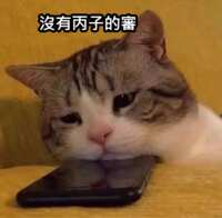 https://images.plurk.com/6nJk1b0AU1bVXHTYRWjwdY.png
