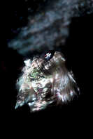 https://images.plurk.com/6nQbkDQcR40wSlWR2X0aRP.jpg