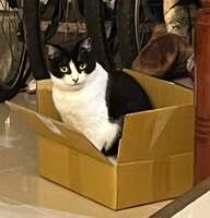 https://images.plurk.com/6nVqgaeNEC0SEYl6lGkXvq.jpg