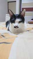https://images.plurk.com/6nhgq6yeYcpw0PVGkKM7my.jpg