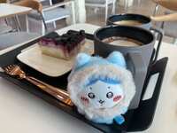 https://images.plurk.com/6nhtNmZDTFR6AP2355qCsf.jpg