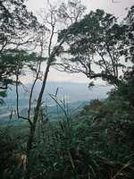 https://images.plurk.com/6ntBKRoyyjbVoRWFZCfi8f.jpg
