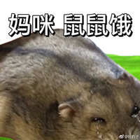 https://images.plurk.com/6oK7uSP9hbq7ZNDbJhUSmA.jpg