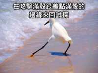 https://images.plurk.com/6oMK7aIoLcAZy9kngXpxyD.png