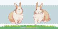 https://images.plurk.com/6oRStjsNowd2t2Xjsqpsmg.png