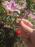 https://images.plurk.com/6oSEIHk5DX3FIkJItlKja8.png