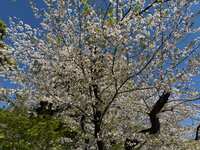 https://images.plurk.com/6objNOGizCRkQTLKImF0tr.jpg