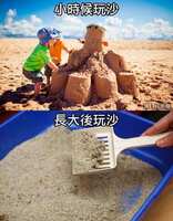 https://images.plurk.com/6ohM8mW8eKylNXR6J6lbxx.jpg