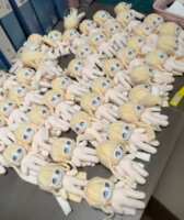 https://images.plurk.com/6om5wn8KIrcPqMe1faFoIA.png
