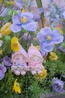 https://images.plurk.com/6onKgjmK0VkhhNZldzrnVt.jpg