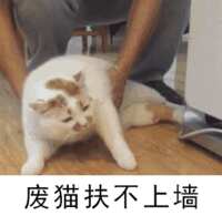 https://images.plurk.com/6ouRYeYZG19r301ySr7FSk.gif