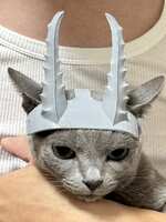 https://images.plurk.com/6owuzDaYW80dnkJWwsq1YX.jpg