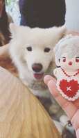 https://images.plurk.com/6oyRDJBkIvv8Do7Mk2DYBe.jpg
