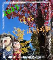 https://images.plurk.com/6ozfHZADhkU53xgRqrjpfj.jpg
