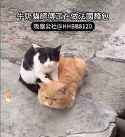 https://images.plurk.com/6p7DQWZAdAfndlXrw1qOq7.jpg