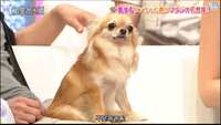 https://images.plurk.com/6pAgrXEQyeKec8HYHu5Yo2.png