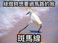 https://images.plurk.com/6pJLE8D0wbzInCl81ayodP.jpg