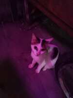 https://images.plurk.com/6pQGqW1UVEECLJoFQTnqj1.jpg