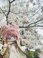 https://images.plurk.com/6pTSkoheyQaggvdVwg00rc.jpg
