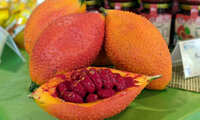 https://images.plurk.com/6pXltqHOEBoMoZ29HO02HN.jpg