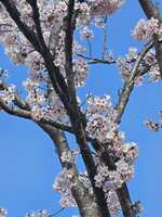 https://images.plurk.com/6pXr4jivLOxCCvfcLx3Boj.jpg