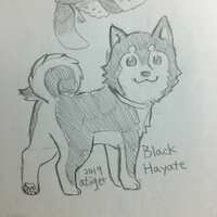 https://images.plurk.com/6papECe8LfiFiX0R3C2WMH.jpg