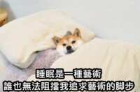 https://images.plurk.com/6pdBIvlb239GaaErWY9MrB.png