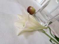 https://images.plurk.com/6pf9jmefLCh4WO8LbPJxNb.jpg