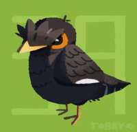 https://images.plurk.com/6pgcjomoDeTgD4Ov5pbkhF.png