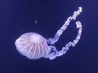 https://images.plurk.com/6ps9ki14maWknCa7iIF3xq.jpg