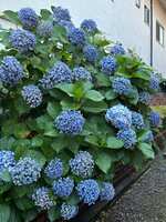 https://images.plurk.com/6psMVpDqR2fOL6sYjZvETE.jpg