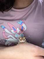 https://images.plurk.com/6puFJCbuVhgzCvh1KaMiO9.jpg