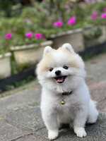 https://images.plurk.com/6pvFs97VSaA84lQT4IlqU9.jpg