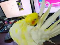 https://images.plurk.com/6q8i87IV1sou77k4Nt6UpQ.jpg