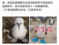 https://images.plurk.com/6q9ITX0Oe5kKRjed9BA18p.png