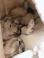 https://images.plurk.com/6qFQNU6XQPsnM07z2Ogidi.jpg