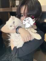 https://images.plurk.com/6qHpi6abJVY81wA0dTlxYG.jpg