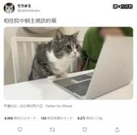 https://images.plurk.com/6qKXgavvOOSPEaOFG7PP2l.png