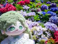 https://images.plurk.com/6qLWk585IxfblYX2lkK1tL.jpg