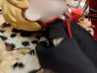 https://images.plurk.com/6qQdHsZ4fbC5djevhdLgX8.jpg