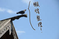 https://images.plurk.com/6qcH7gSNvubGlPDbgO2tVE.jpg