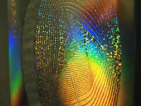 https://images.plurk.com/6qgzZSFhF5KciLtzWsMrRt.jpg