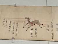 https://images.plurk.com/6qtz32qv0sEWLdG4JPvF1P.jpg