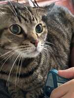 https://images.plurk.com/6r1nRbpl9IUTsbTzdiPkdy.jpg