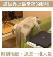 https://images.plurk.com/6r3CD3xG3pjfJtfO6wQdrP.jpg