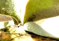 https://images.plurk.com/6r7oaLW1boLu0755SiDn6v.jpg
