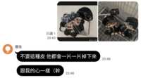 https://images.plurk.com/6r87o4mpoFhvFLsZe1T2tH.png